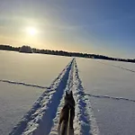Northernlight