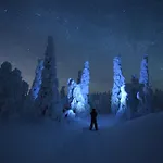 Northernlight *