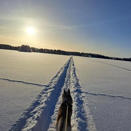Northernlight