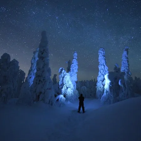 Northernlight *