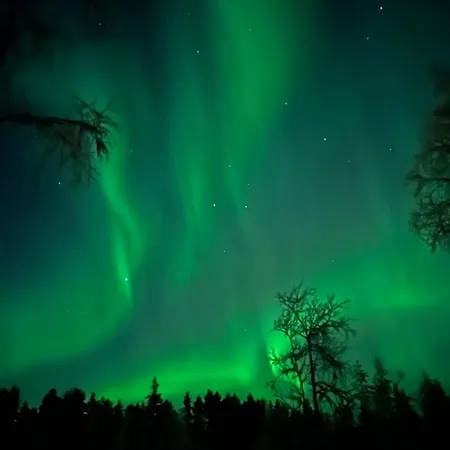 Northernlight *