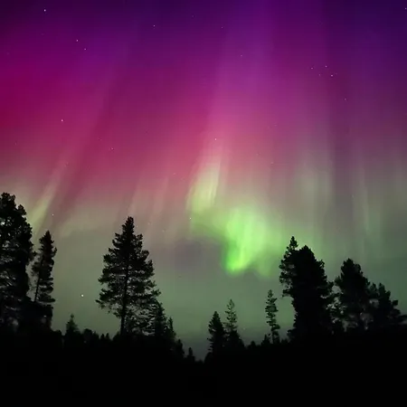 Bed and breakfast Northernlight