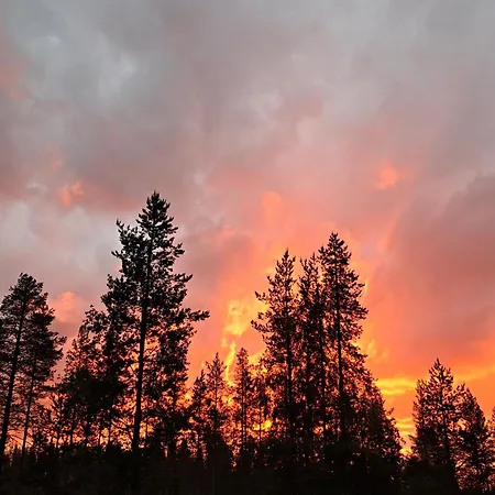 Northernlight Bed and breakfast