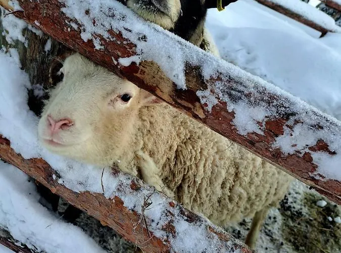 Northernlight ベッド・アンド・ブレックファスト