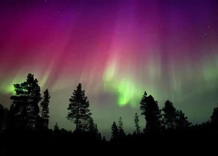 ベッド・アンド・ブレックファスト Northernlight